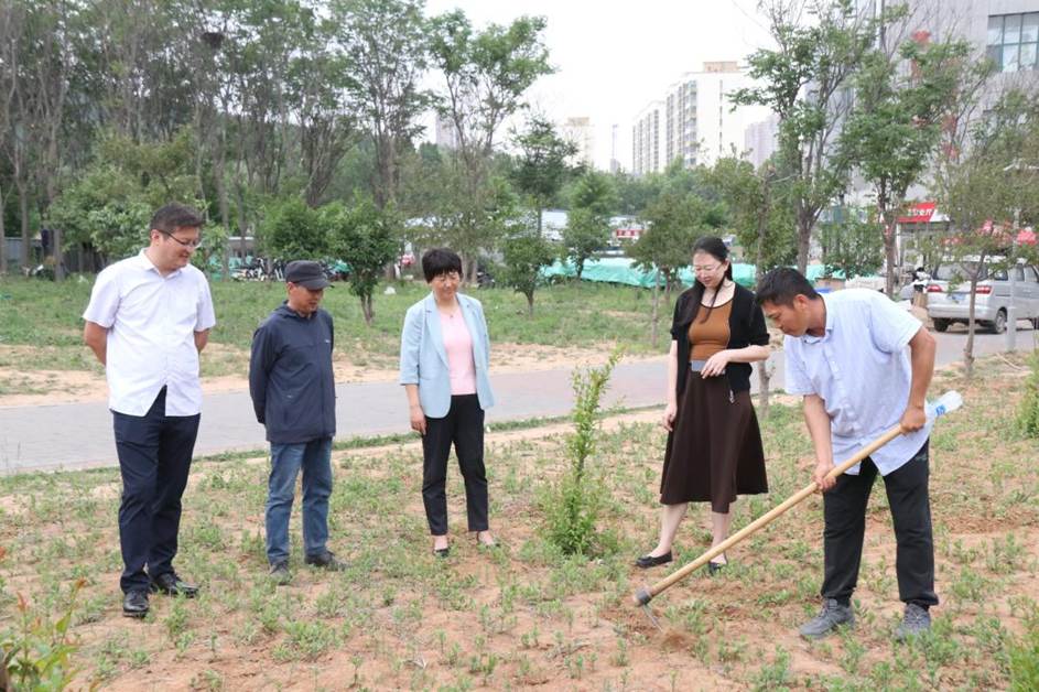 图示, 示意图

中度可信度描述已自动生成:ver1