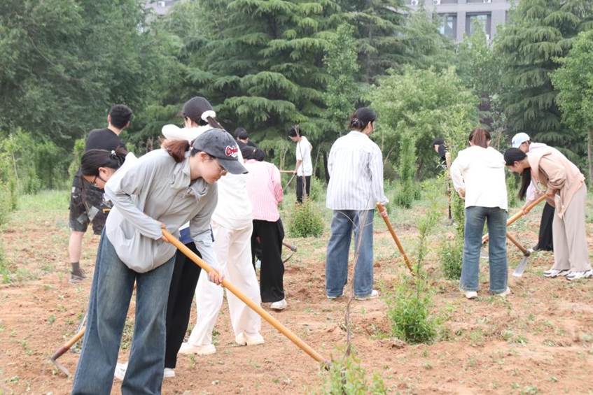 图示, 示意图

中度可信度描述已自动生成:ver1